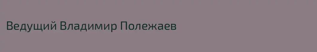 Ведущий Владимир Полежаев